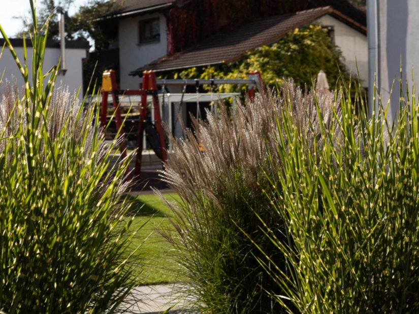 kreativ Garten kreativ Garten